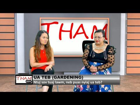 3 HMONG TV THAMKUV | Tham txog ua teb (Gardening).