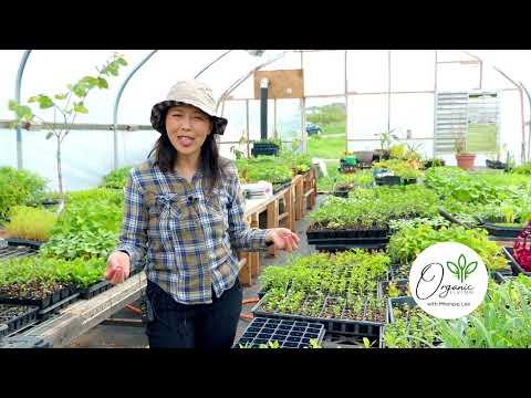 3HMONGTV | Organic Living with Mhonpaj Lee - Ep1.