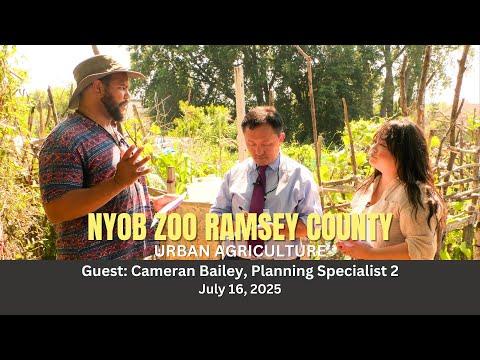 Nyob Zoo Ramsey County | July 16, 2025 - Urban Agriculture - Ua teb hauv zej zog.