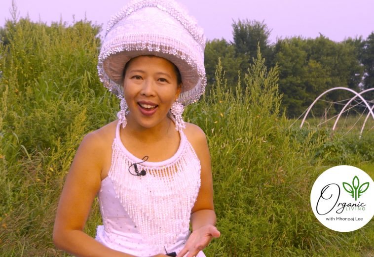 Organic Living | A visit to Zooxis Conservatory & Botanical Garden